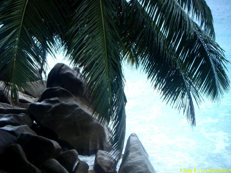 Patatran Village - La Digue (27).JPG